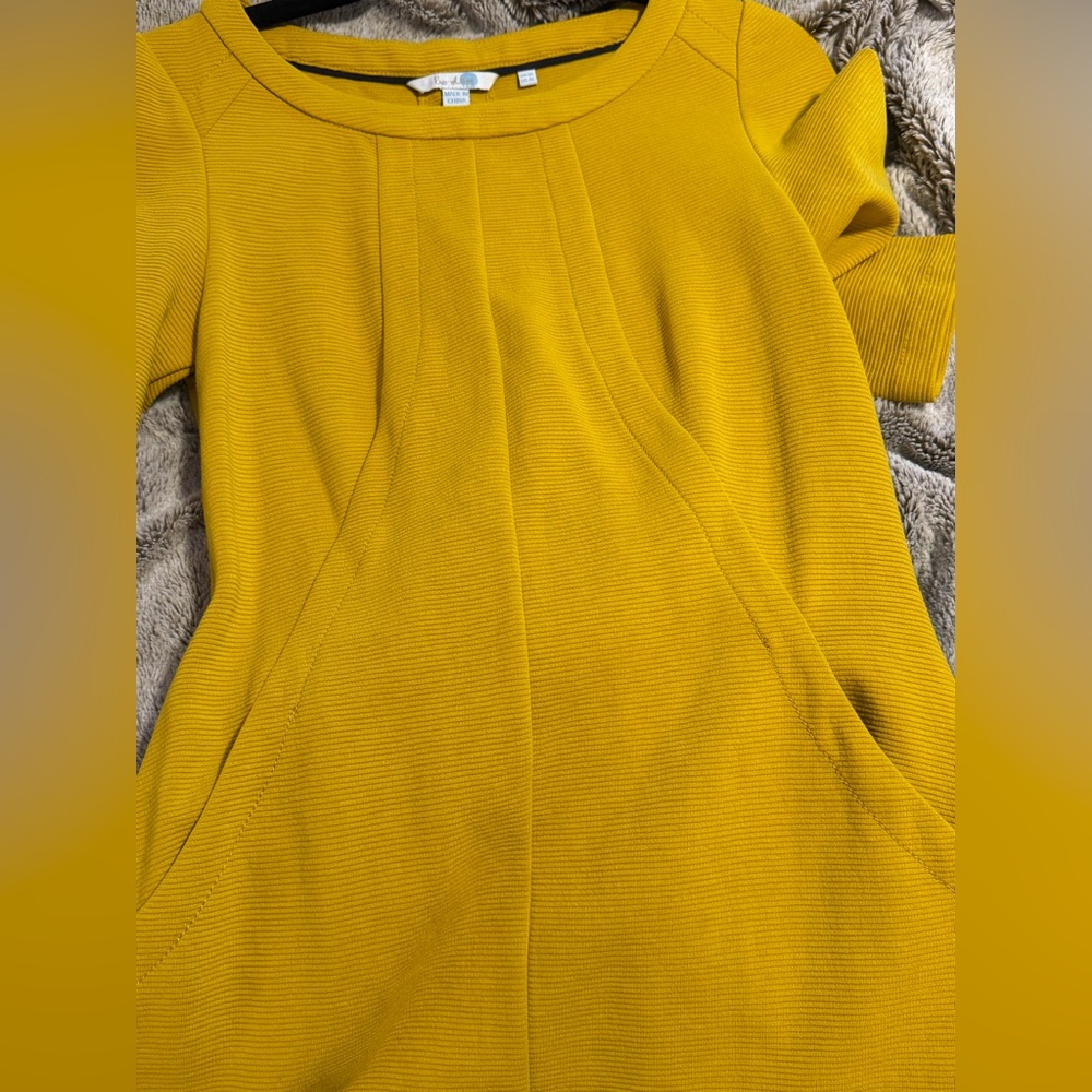 Boden Ottoman Shift Dress - Picture 11 of 14